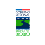 gorebiobio-web